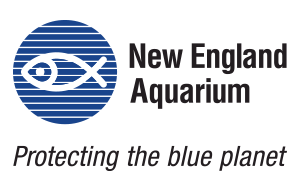 New England Aquarium. Protecting the blue planet