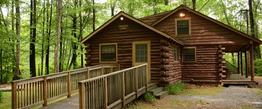 Camp Cabin Camp Cabin